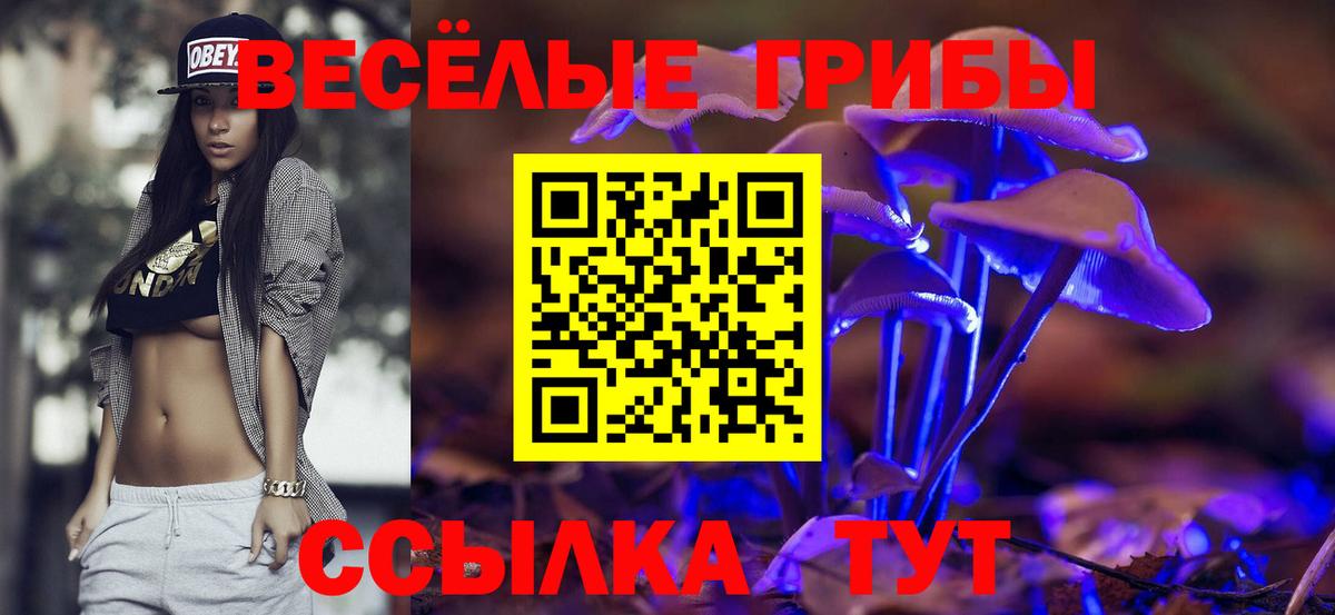 Галлюциногенные грибы Cubensis  Вход с VPN  Туймазы  Галлюциногенные грибы мицелий 